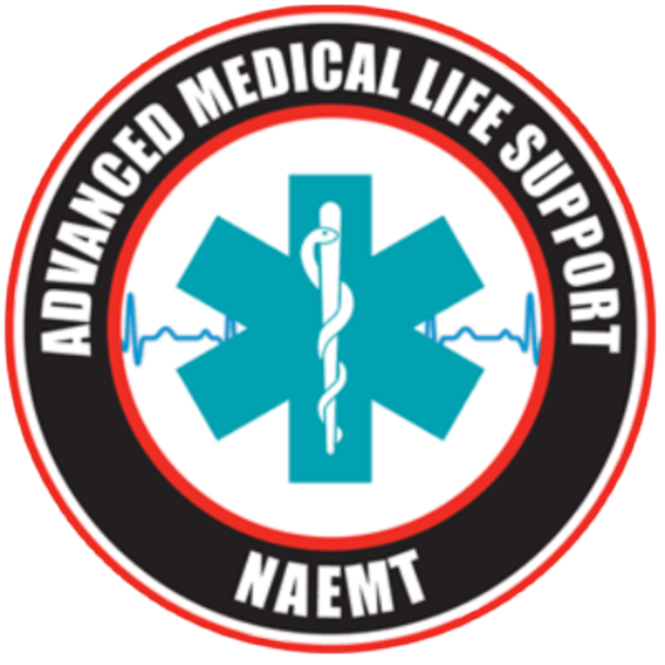 Logo AMLS