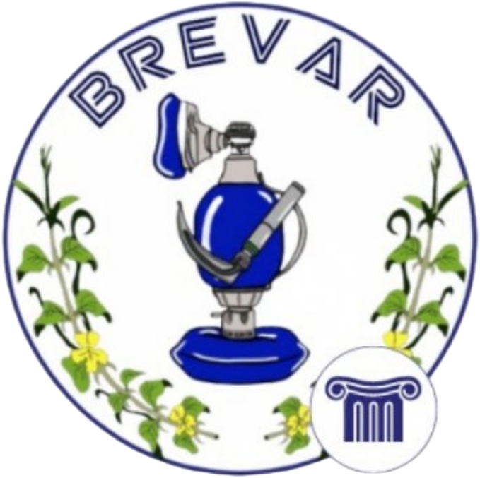 Curso BREVAR da Stoicus