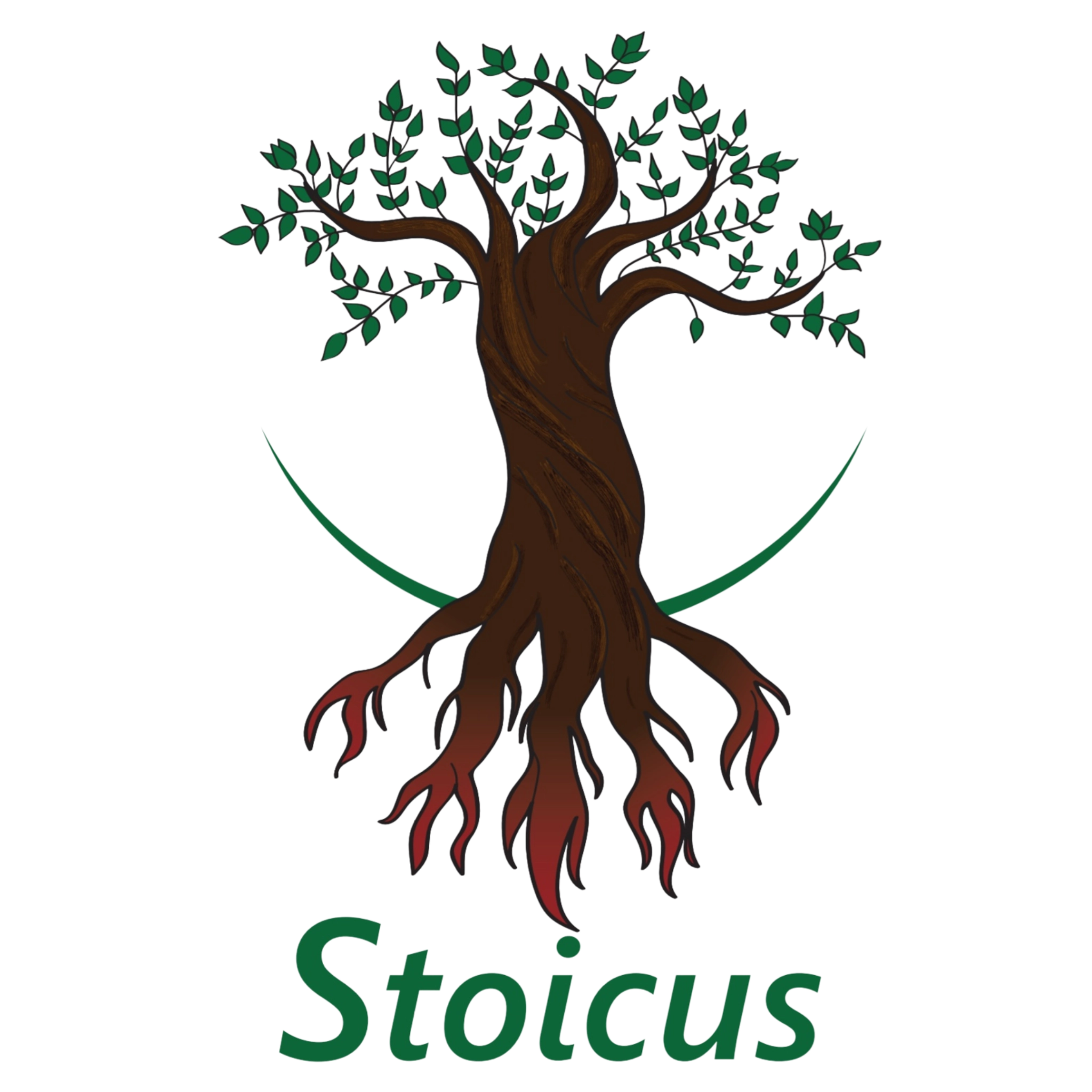 Stoicus Educação em Saúde