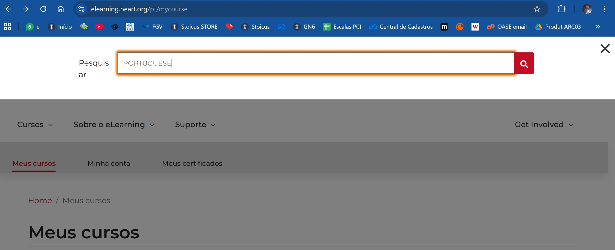 Resultados em português na busca da plataforma AHA eLearning