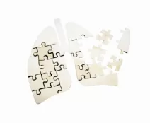 Barotrauma e a Ventilação Mecânica