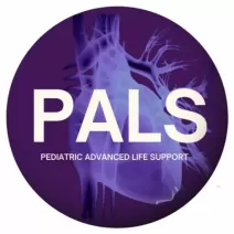 PALS - Pediatric Advanced Life Support (BLUMENAU)