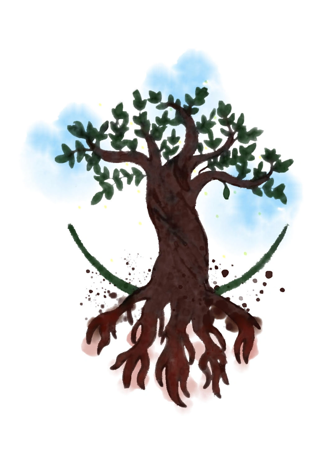 Logo aquarela da Stoicus simbolizando raízes, crescimento, saúde, educação e responsabilidade social