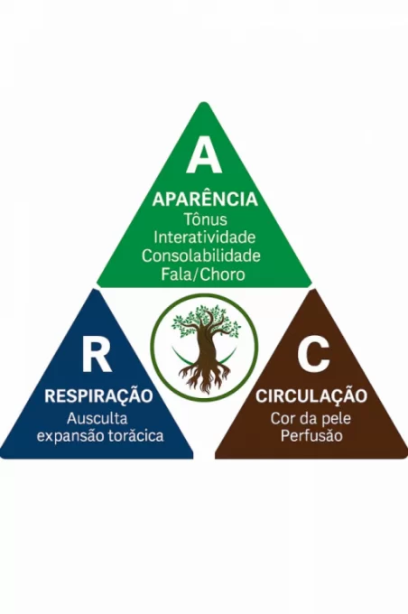 TAP no PLANTÃO: Avaliação Rápida em Pediatria
