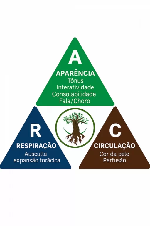 TAP no PLANTÃO: Avaliação Rápida em Pediatria